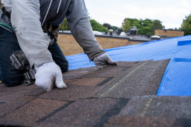Best Rubber Roofing (EPDM, TPO)  in Stuart, IA